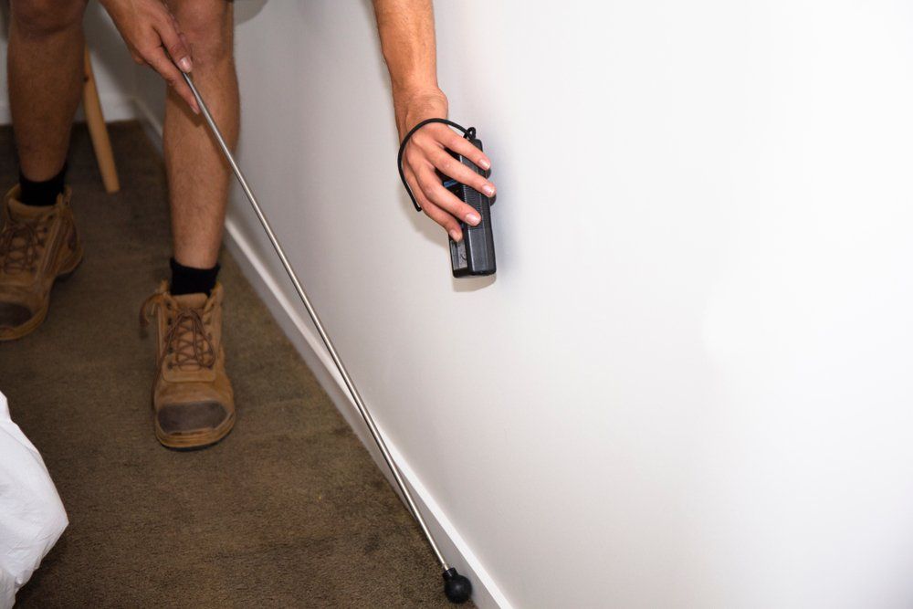 Termite Inspector Check Inside the House — Lighthouse Pest Control In Skinners Shoot, NSW