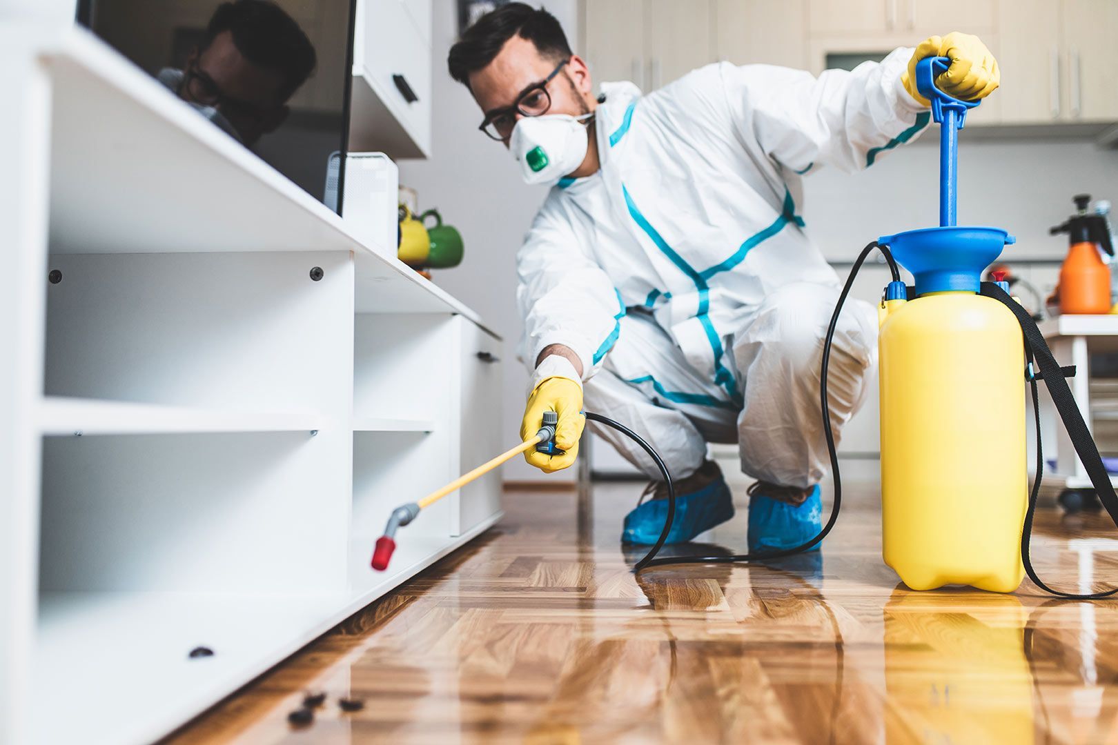 A Man in a Protective Suit is Spraying Insecticide on a Wooden Floor — Lighthouse Pest Control In Ballina, NSW