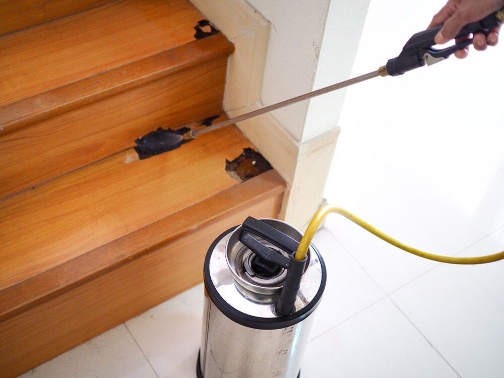 A Person is Spraying a Wooden Staircase With a Sprayer — Lighthouse Pest Control In Brunswick Heads, NSW