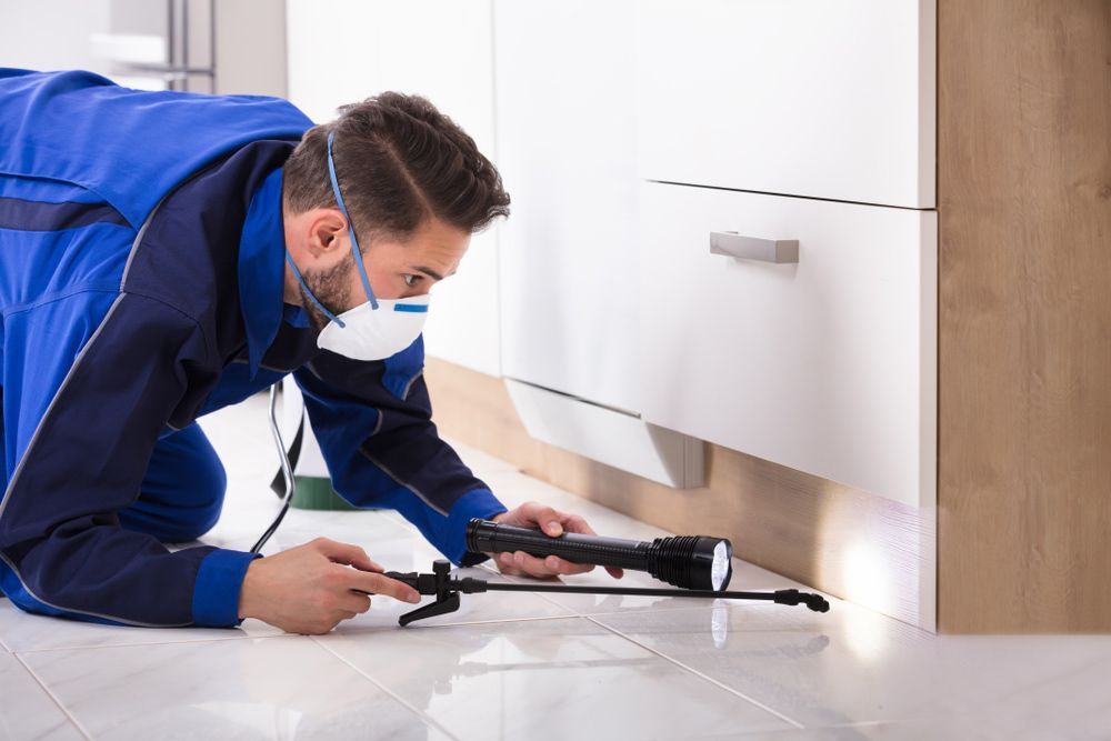 A Man is Crawling on the Floor in a Kitchen With a Flashlight — Lighthouse Pest Control In Ballina, NSW