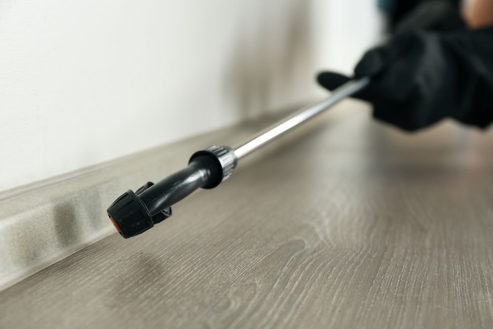 A Person is Spraying a Hose on a Wooden Floor — Lighthouse Pest Control In Alstonville, NSW