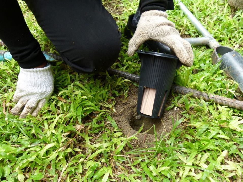 A person is kneeling down in the grass holding a bait station — Lighthouse Pest Control In Skinners Shoot, NSW