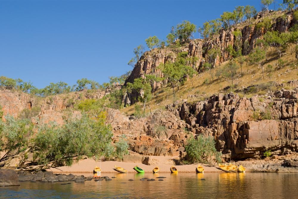 A Group of Kayaks Are Sitting on The Shore of A Lake — Lighthouse Pest Control In Northern Rivers, NSW