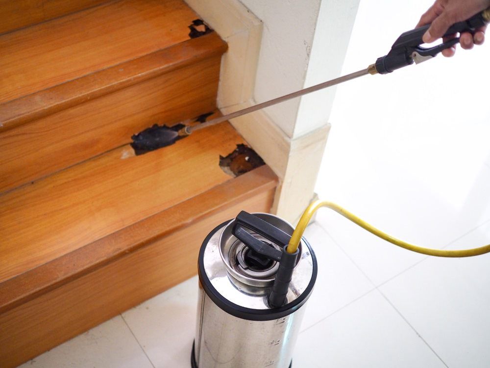 Termite Spraying — Lighthouse Pest Control In Skinners Shoot, NSW