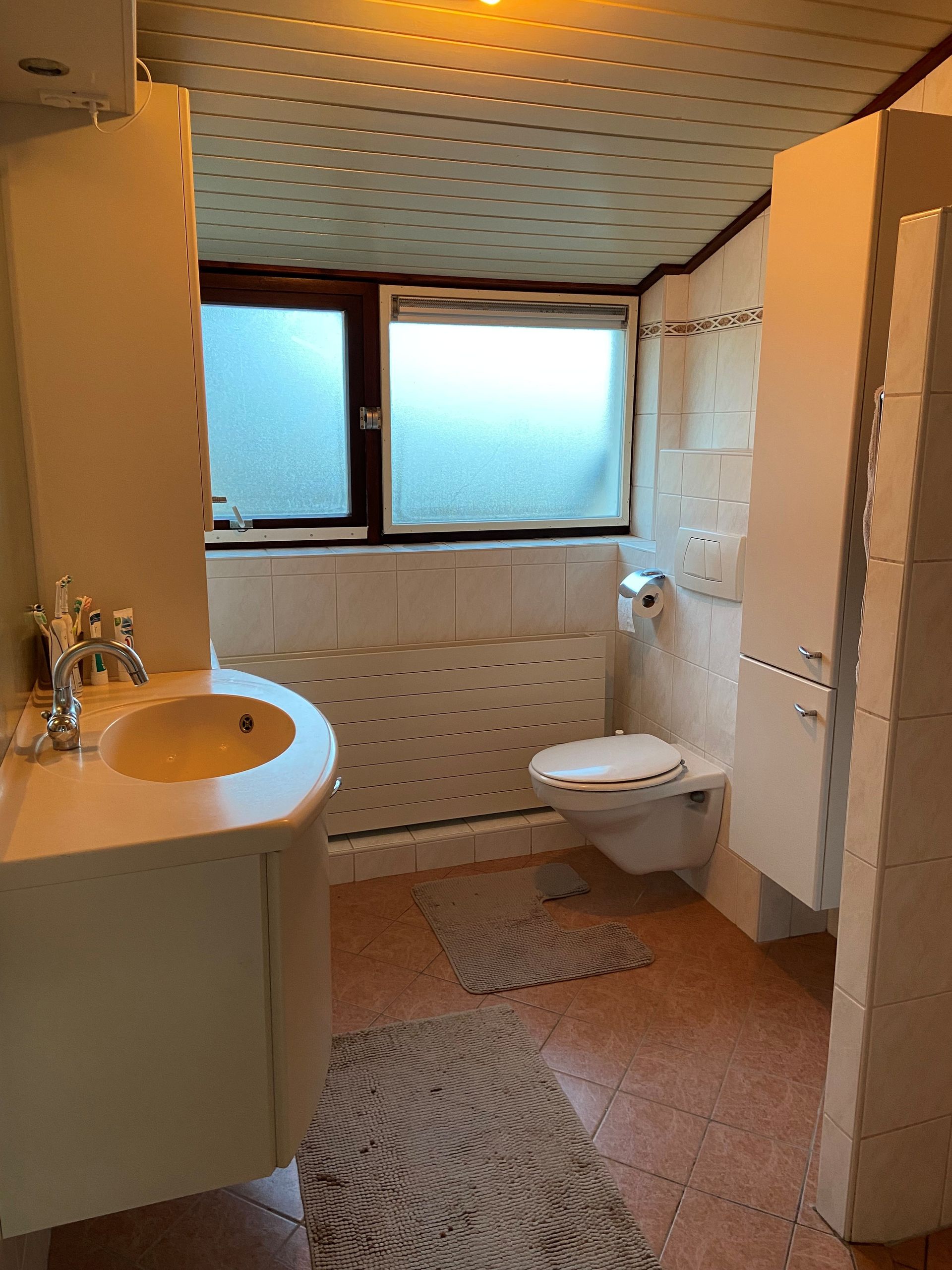 badkamer tegels toilet