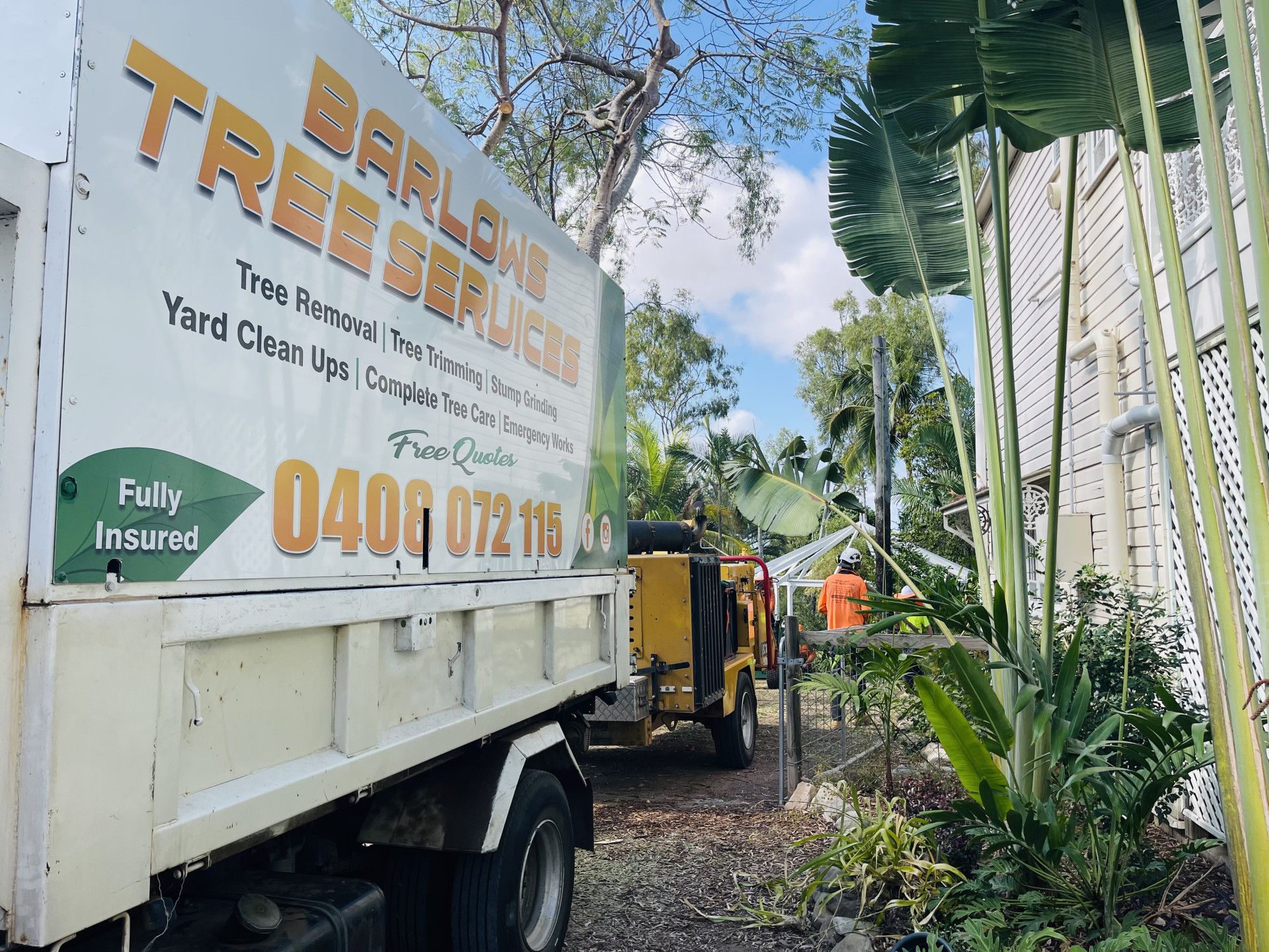 Tree Removal Rockhampton | Barlow Tree Services