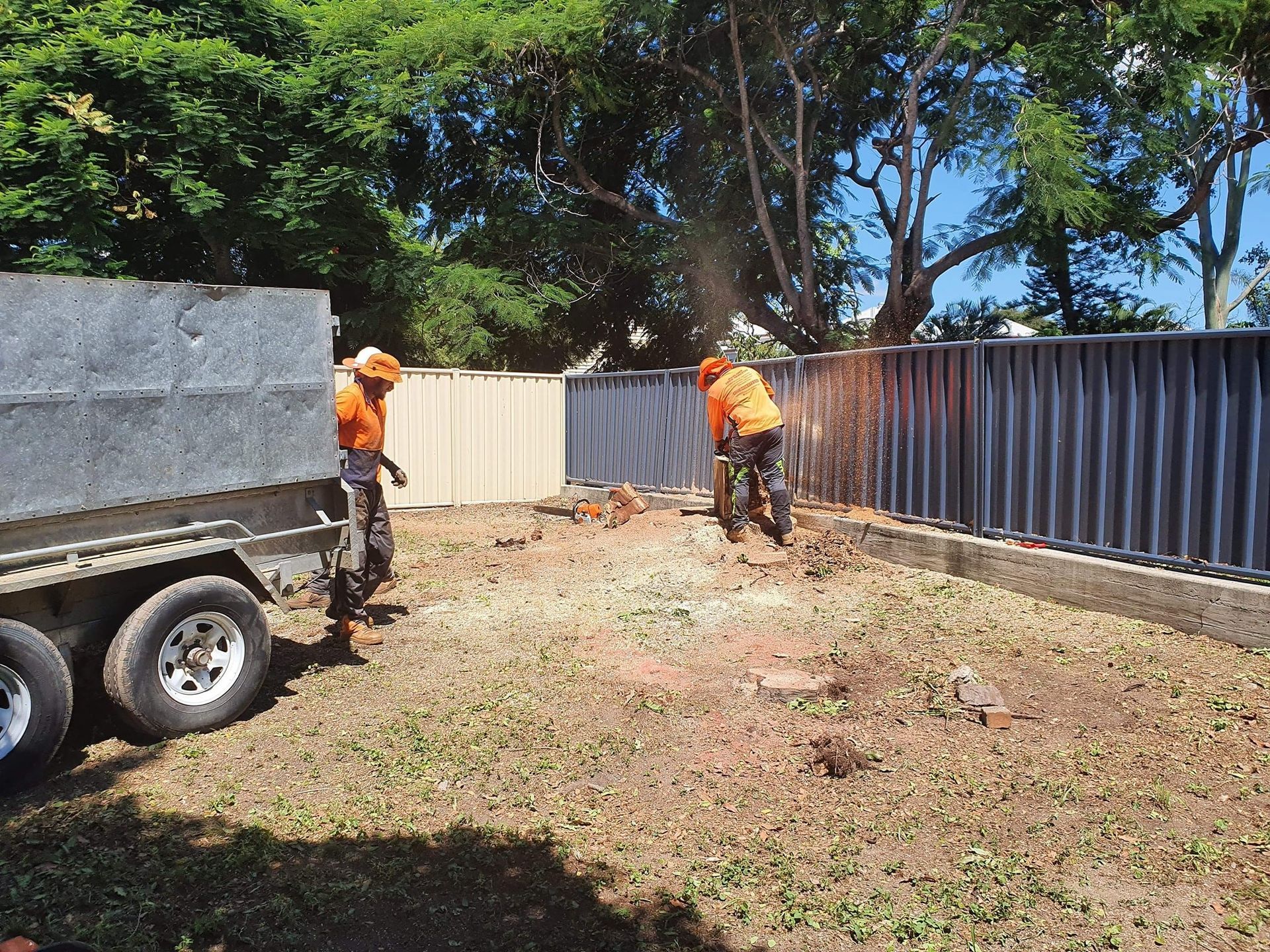 Tree Stump in a Grassy Area, Cut With a Flat Top — Barlows Tree Services in Rockhampton, QLD