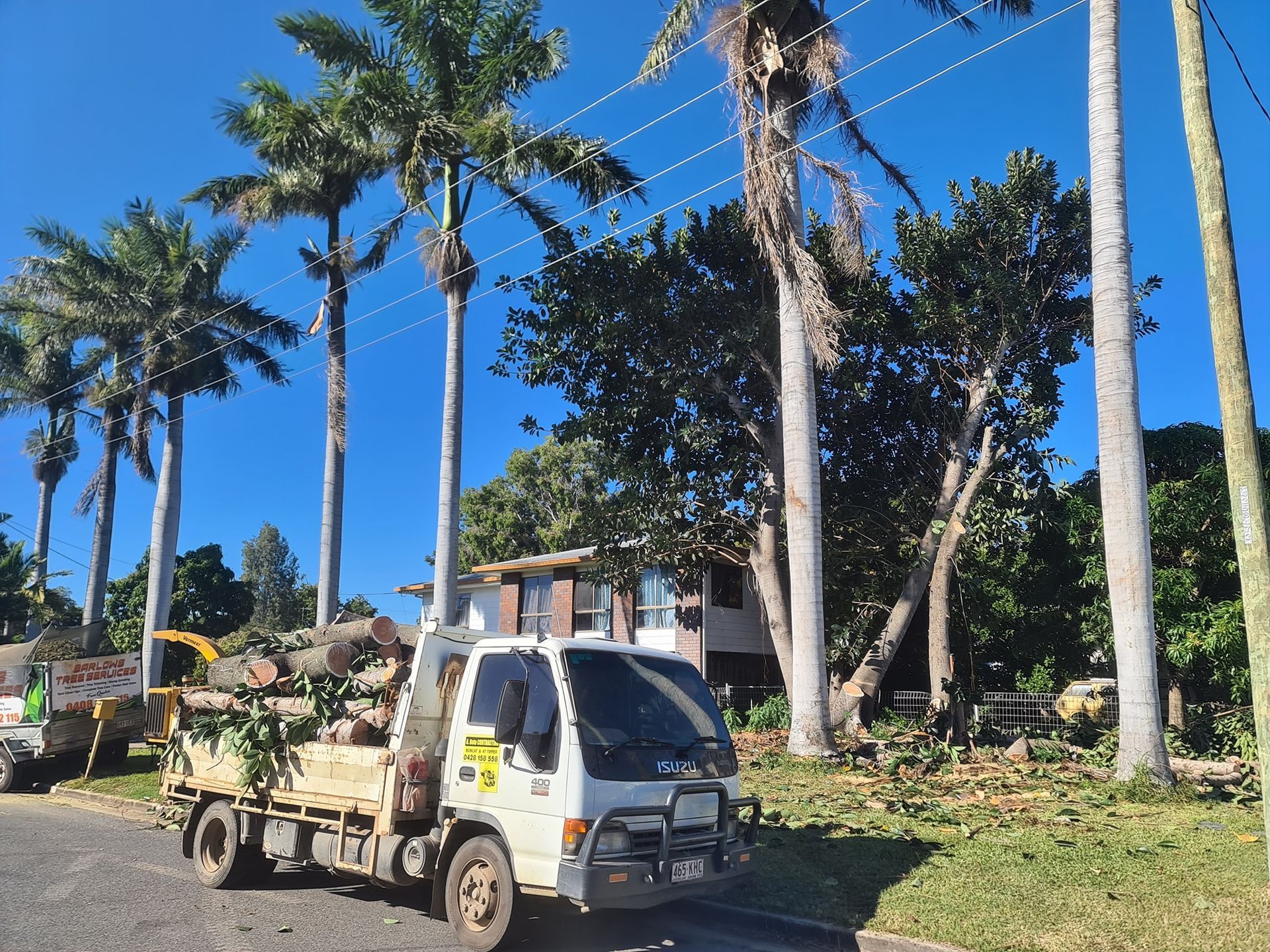 Cut Logs and a Chainsaw on a Grassy Yard, Near a Tree Stump and Larger Tree Trunk — Barlows Tree Services in Rockhampton, QLD