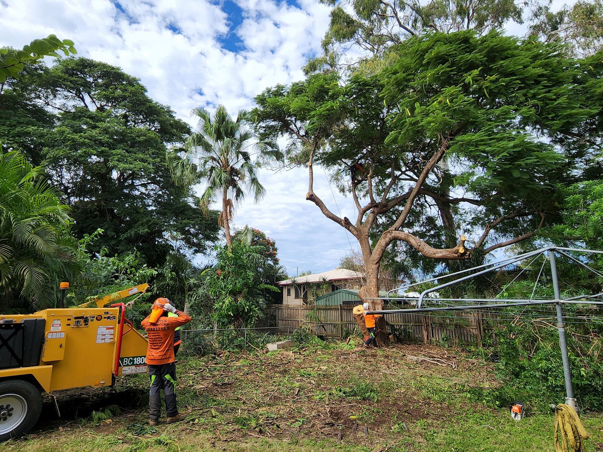 Three People in High-visibility Work — Barlows Tree Services in Rockhampton, QLD