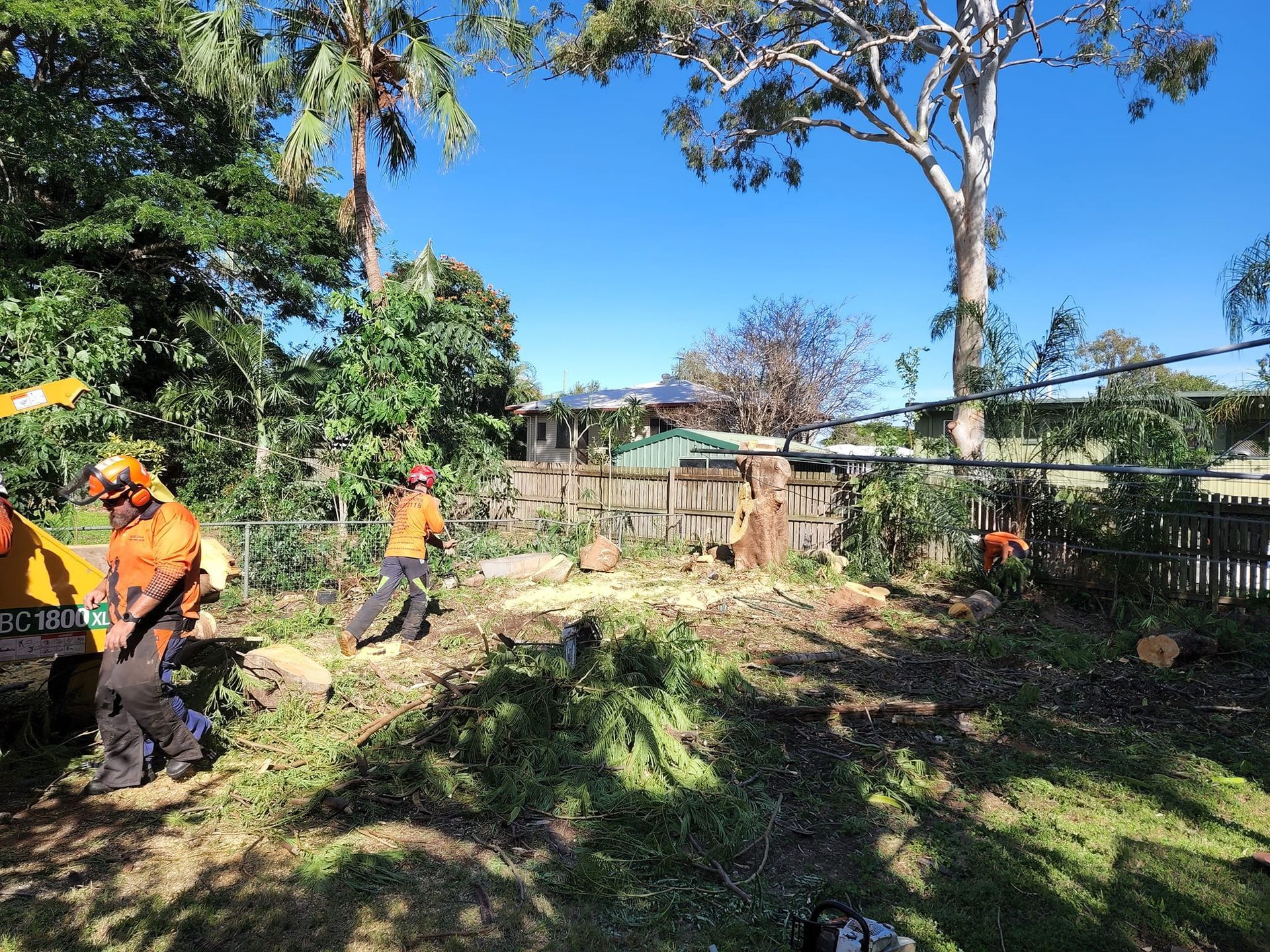 Workers in High-visibility Orange Shirts — Barlows Tree Services in Rockhampton, QLD