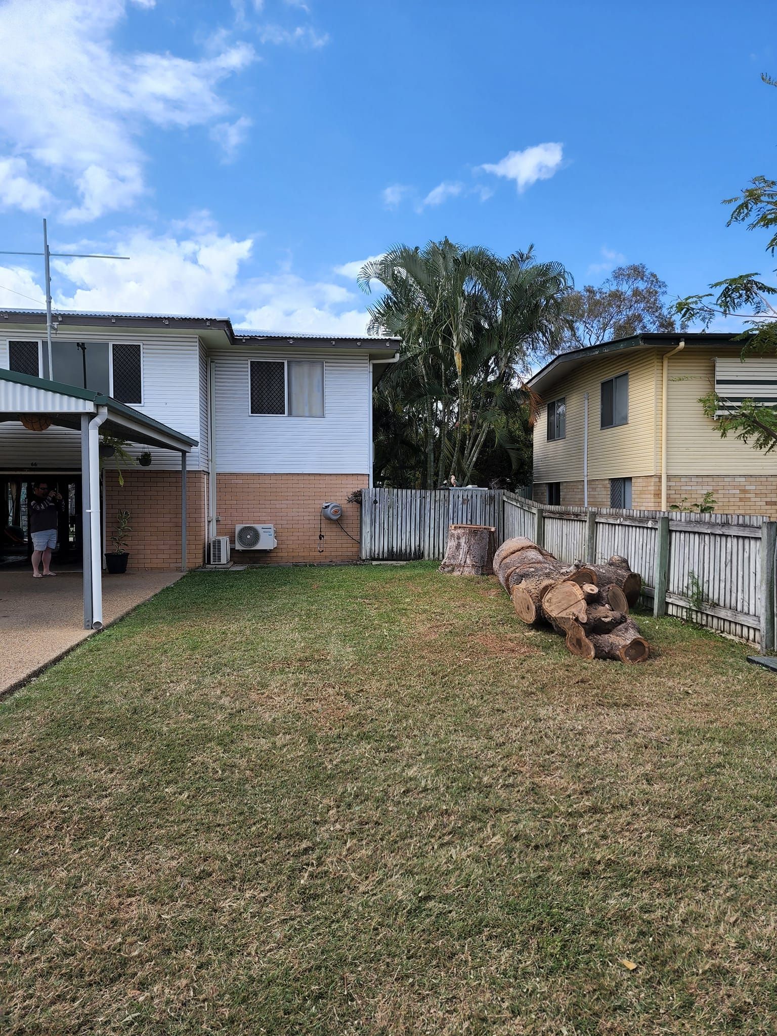 A Tree Service Professional Trims a Tree — Barlows Tree Services in Rockhampton, QLD