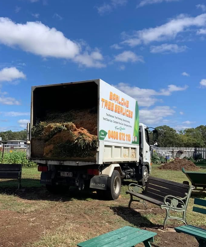 A Wide, Dirt-covered Backyard — Barlows Tree Services in Rockhampton, QLD