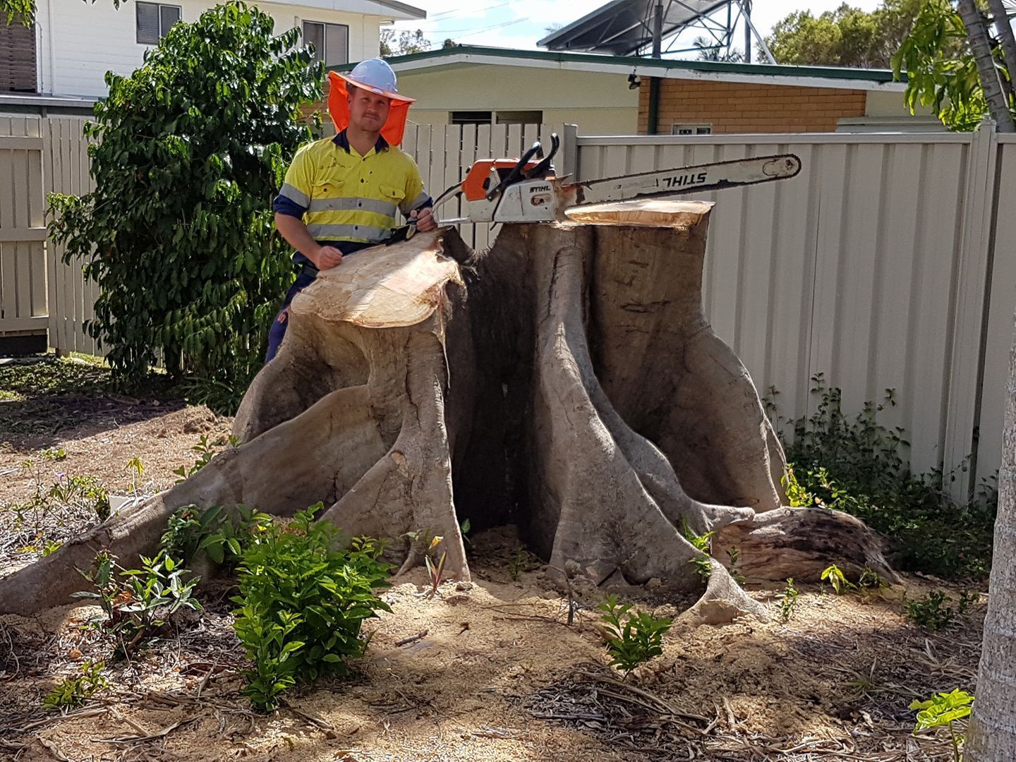 A Yellow Stump Grinder in Action, Grinding a Tree Stump Into Wood Chips — Barlows Tree Services in Rockhampton, QLD