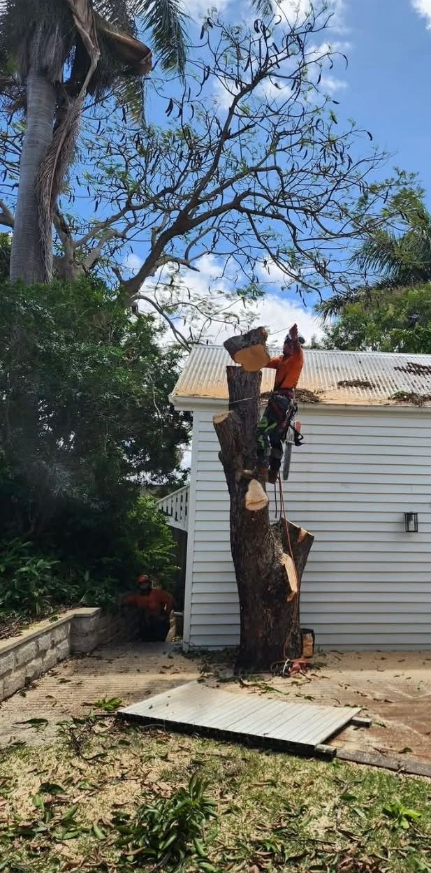 Man in Bucket Truck Cutting Tree Branch With Chainsaw — Barlows Tree Services in Rockhampton, QLD