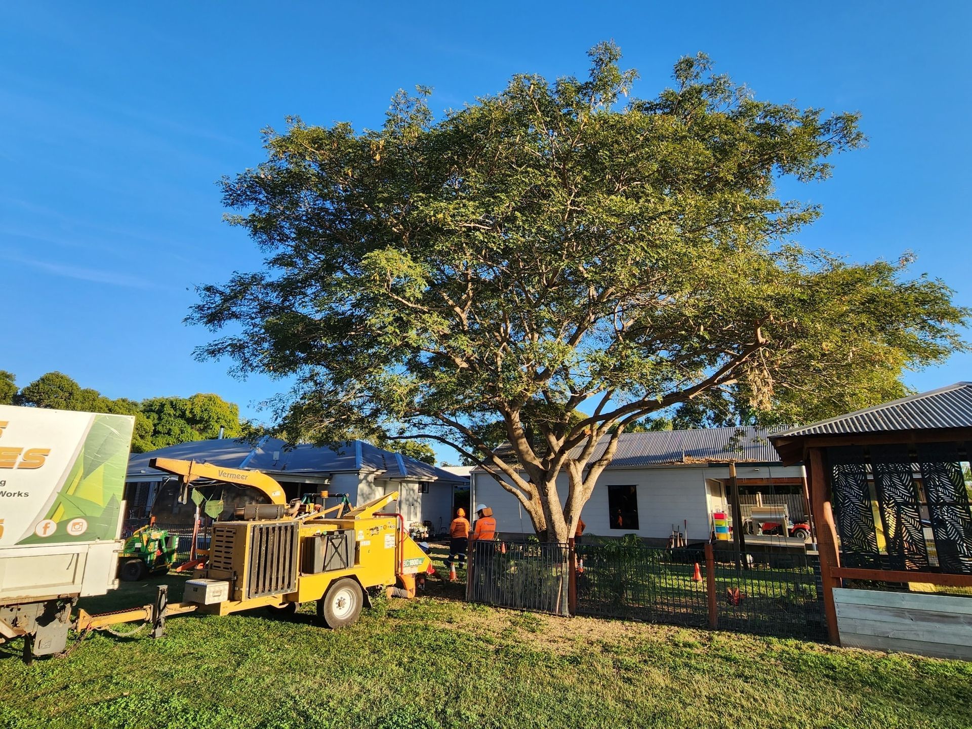 Tree Being Trimmed; Wood Chipper — Barlows Tree Services in Rockhampton, QLD