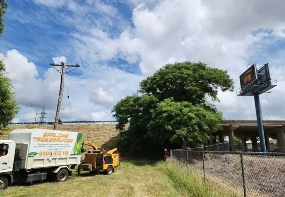 Utility Truck and Small Loader Beside a Grassy Roadside — Barlows Tree Services in Rockhampton, QLD