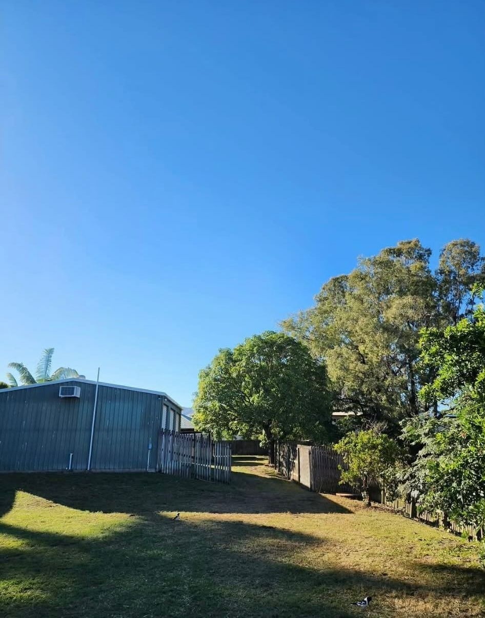 Rural Yard With a Blue Shed, Grassy Slope, and Large Green Trees — Barlows Tree Services in Rockhampton, QLD