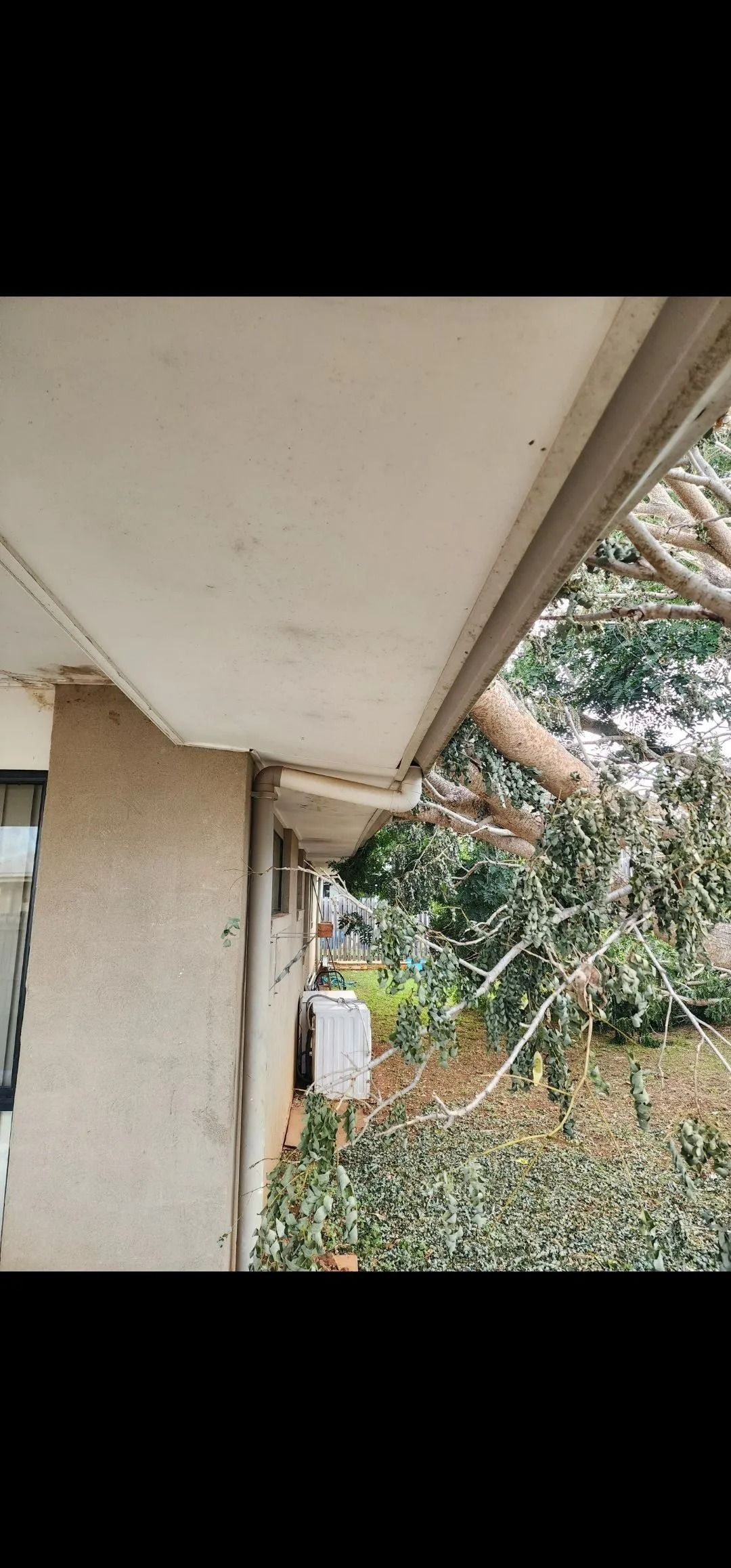 Close-up of a Building Eave and Wall With a Utility Meter — Barlows Tree Services in Rockhampton, QLD