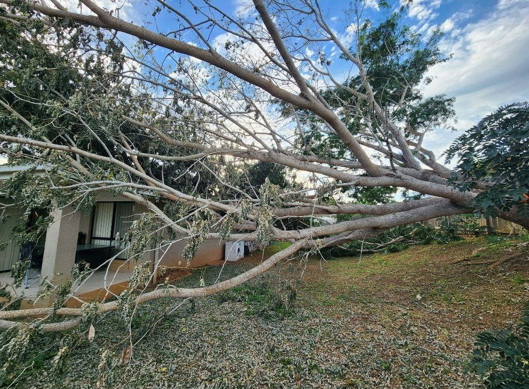 Fallen Tree Branches Covering a House and Yard After Storm Damage — Barlows Tree Services in Rockhampton, QLD