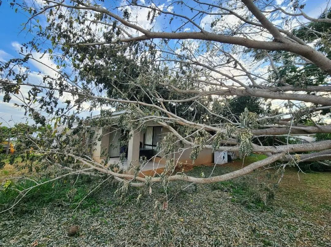 Storm-damaged House Partly Hidden by Fallen Tree Branches — Barlows Tree Services in Rockhampton, QLD