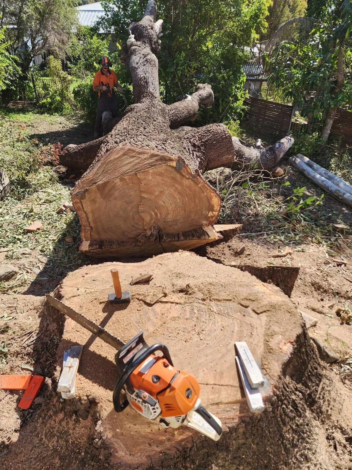 a Fallen Tree Being Cut With a Chainsaw by a Person — Barlows Tree Services in Rockhampton, QLD