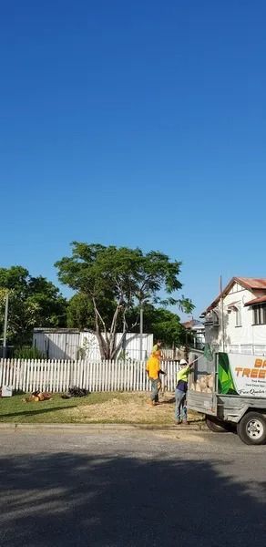 Workers Near a White Fence and Truck Outside a House on a Sunny Street — Barlows Tree Services in Rockhampton, QLD