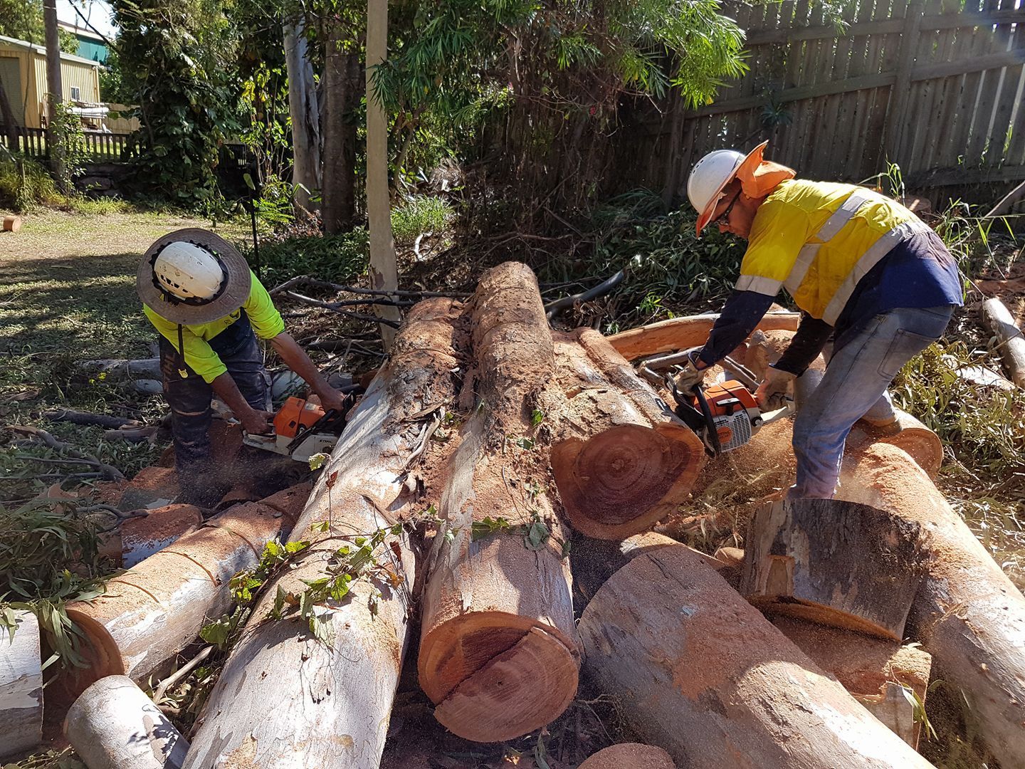 Two People in Safety Vests — Barlows Tree Services in Rockhampton, QLD