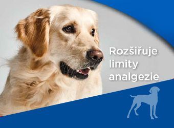 Optimalizace využití tramadolu při léčbě bolesti zvířat