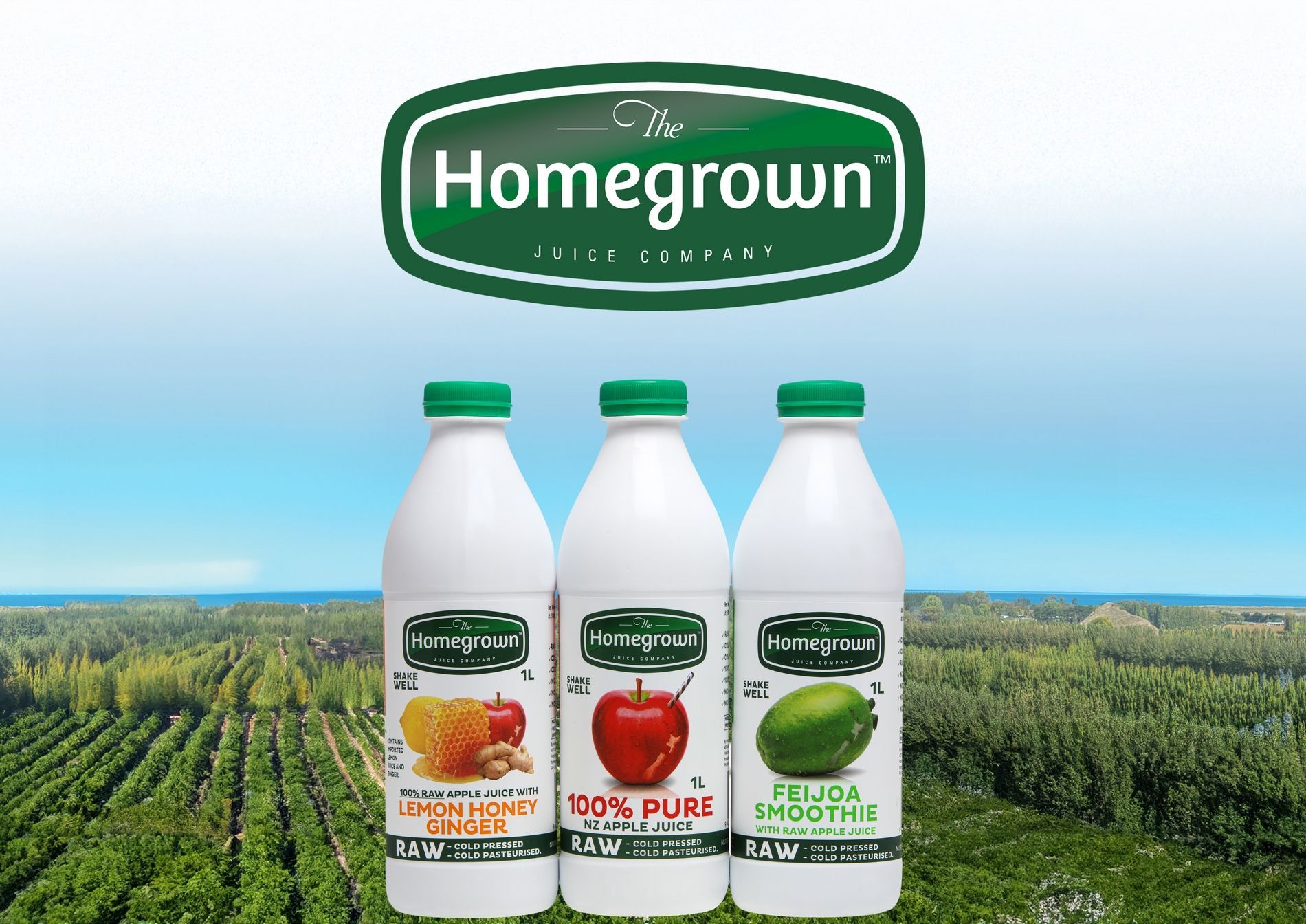 Homegrown juice bottles with blueberry, tomato, and cucumber flavors against a vineyard backdrop