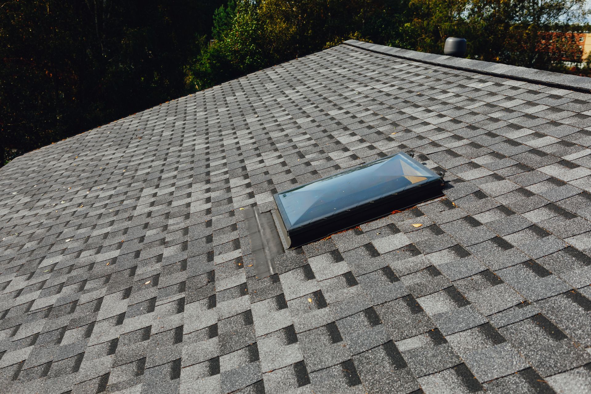 A roof with a skylight on it and trees in the background.