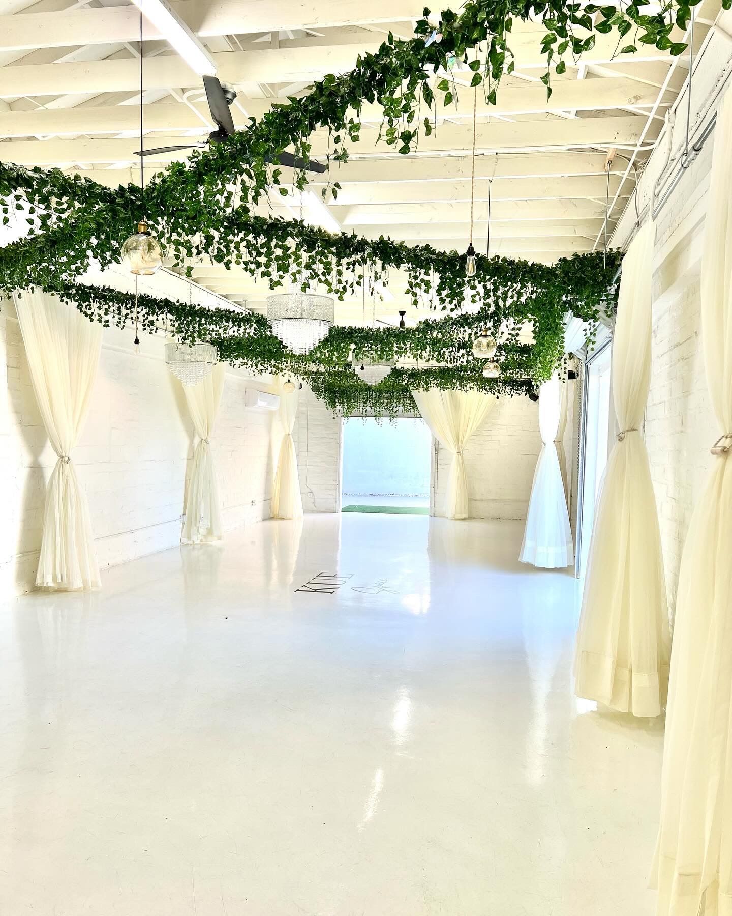 A large empty room with white curtains and ivy hanging from the ceiling.