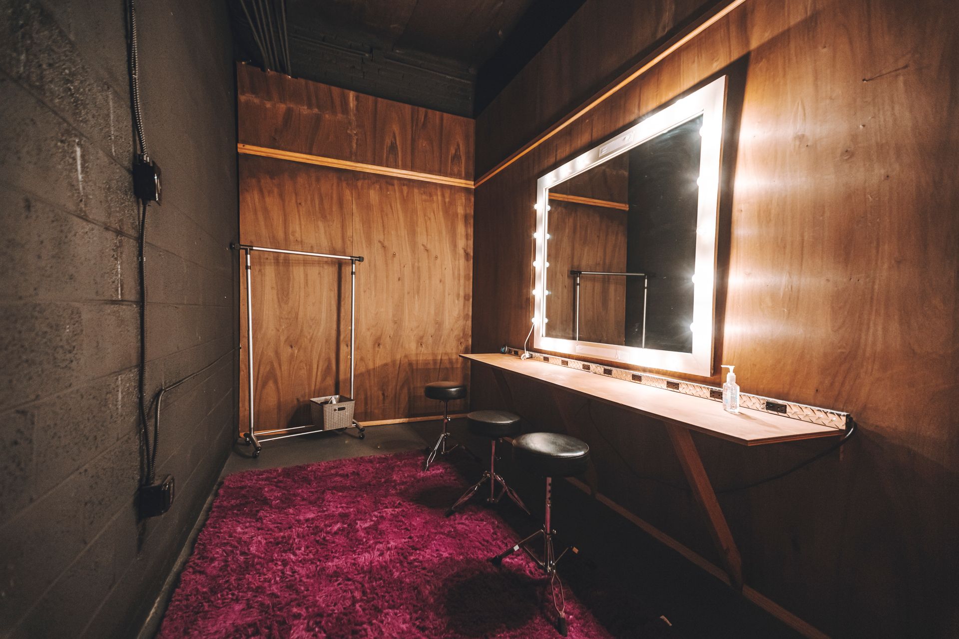 A room with two mirrors and a pink rug