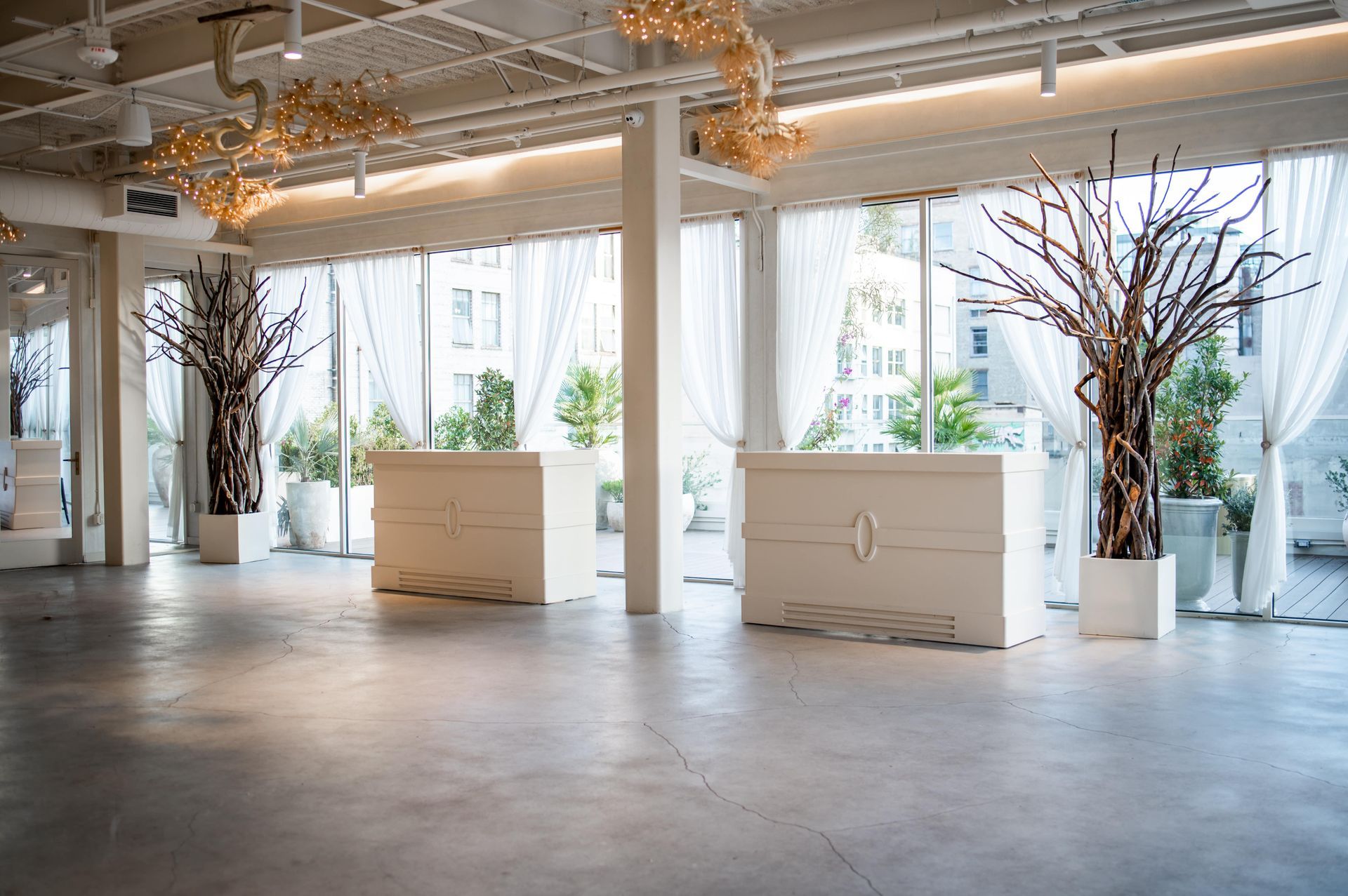 A large empty room with a lot of windows and trees in pots.