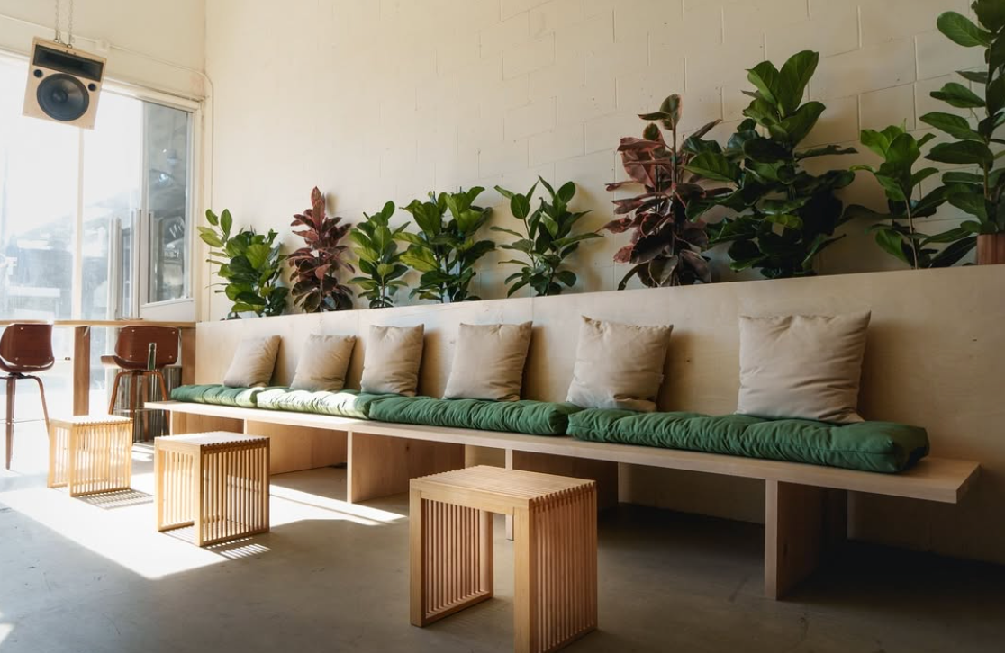 A living room with a long bench and tables and plants on the wall.
