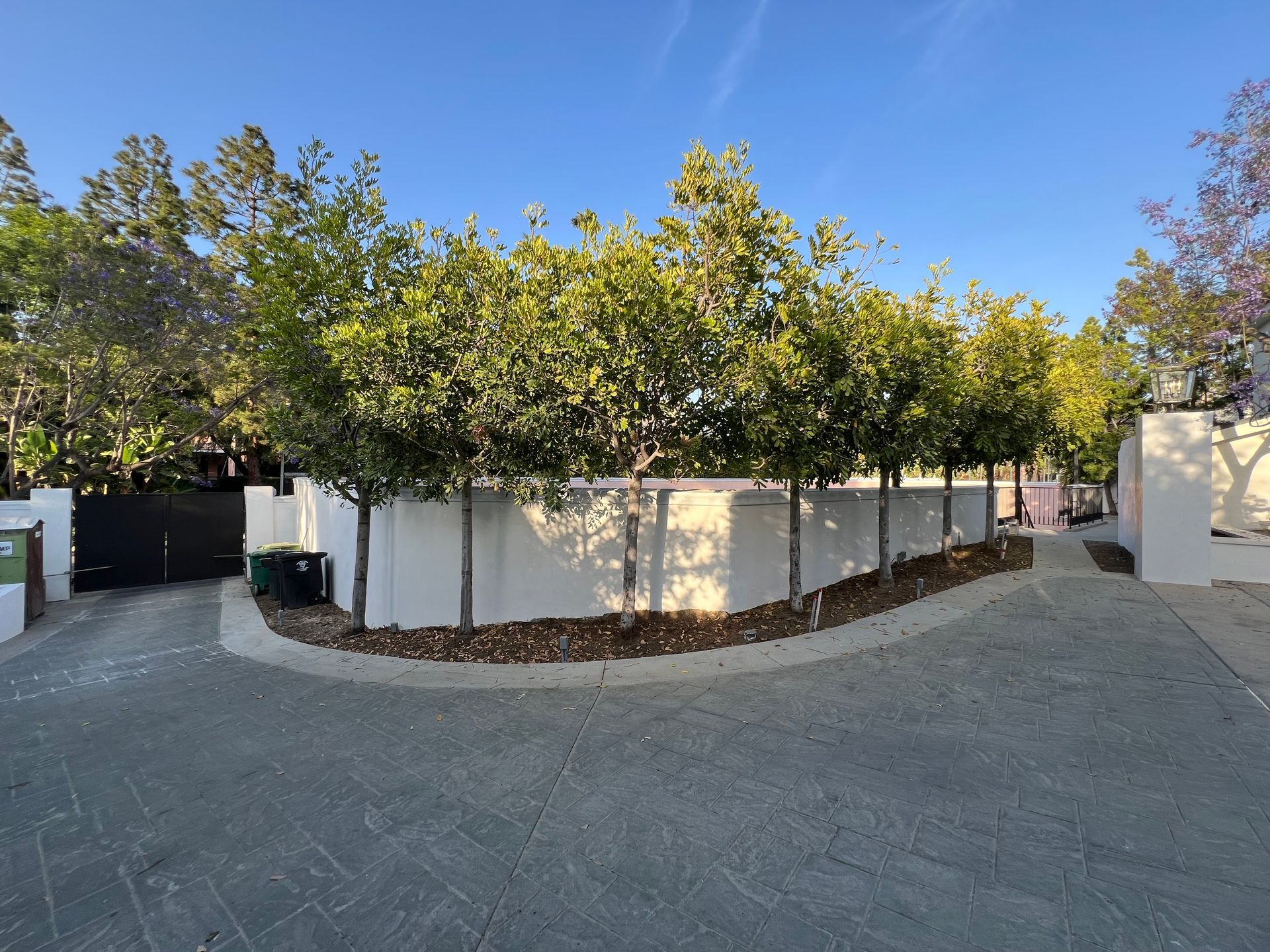 A curved white wall lined with small, uniform green trees sits behind a paved driveway under a clear blue sky.