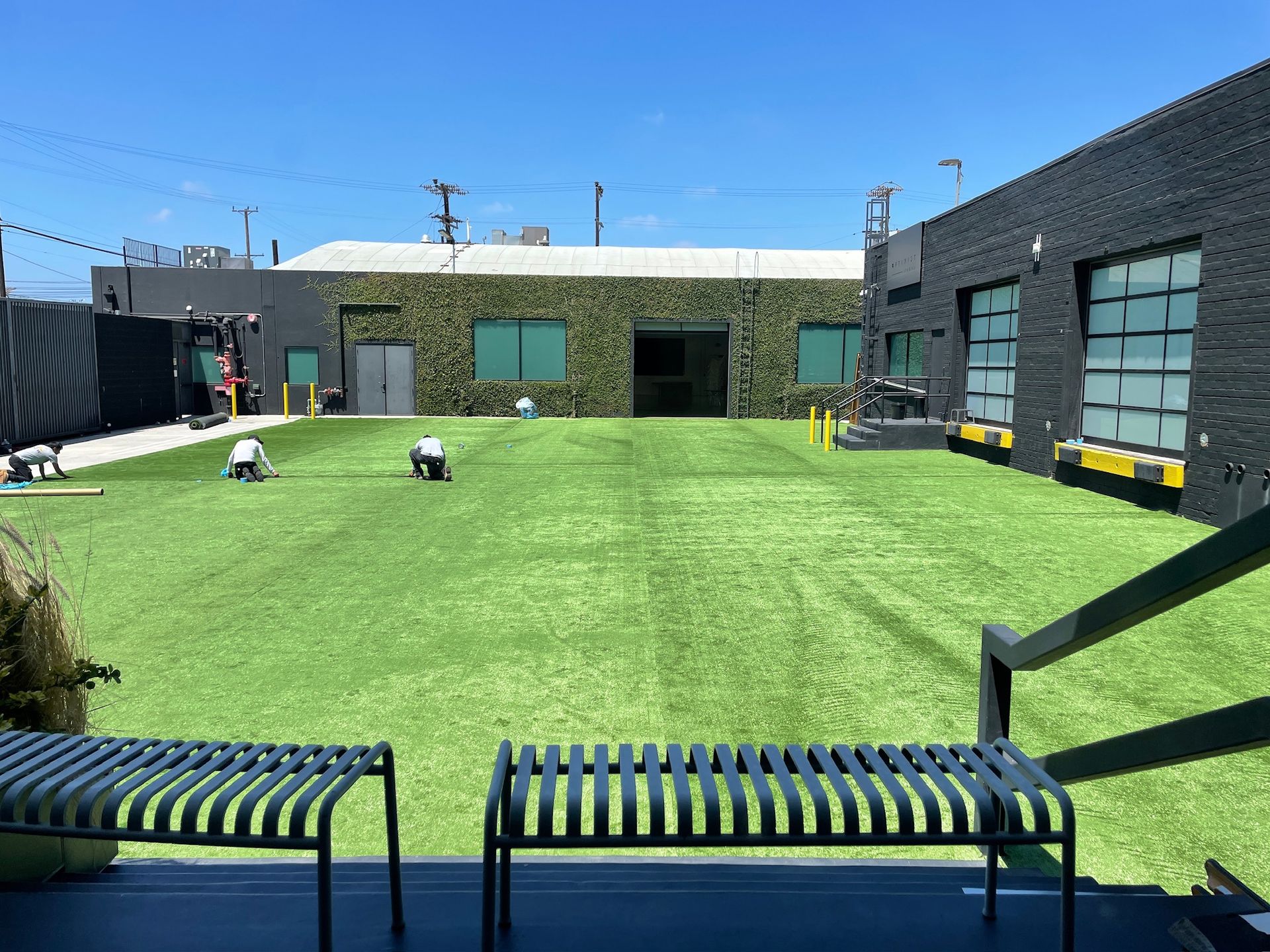 People installing synthetic grass on a lawn between a black brick building and a building with a green-covered wall.