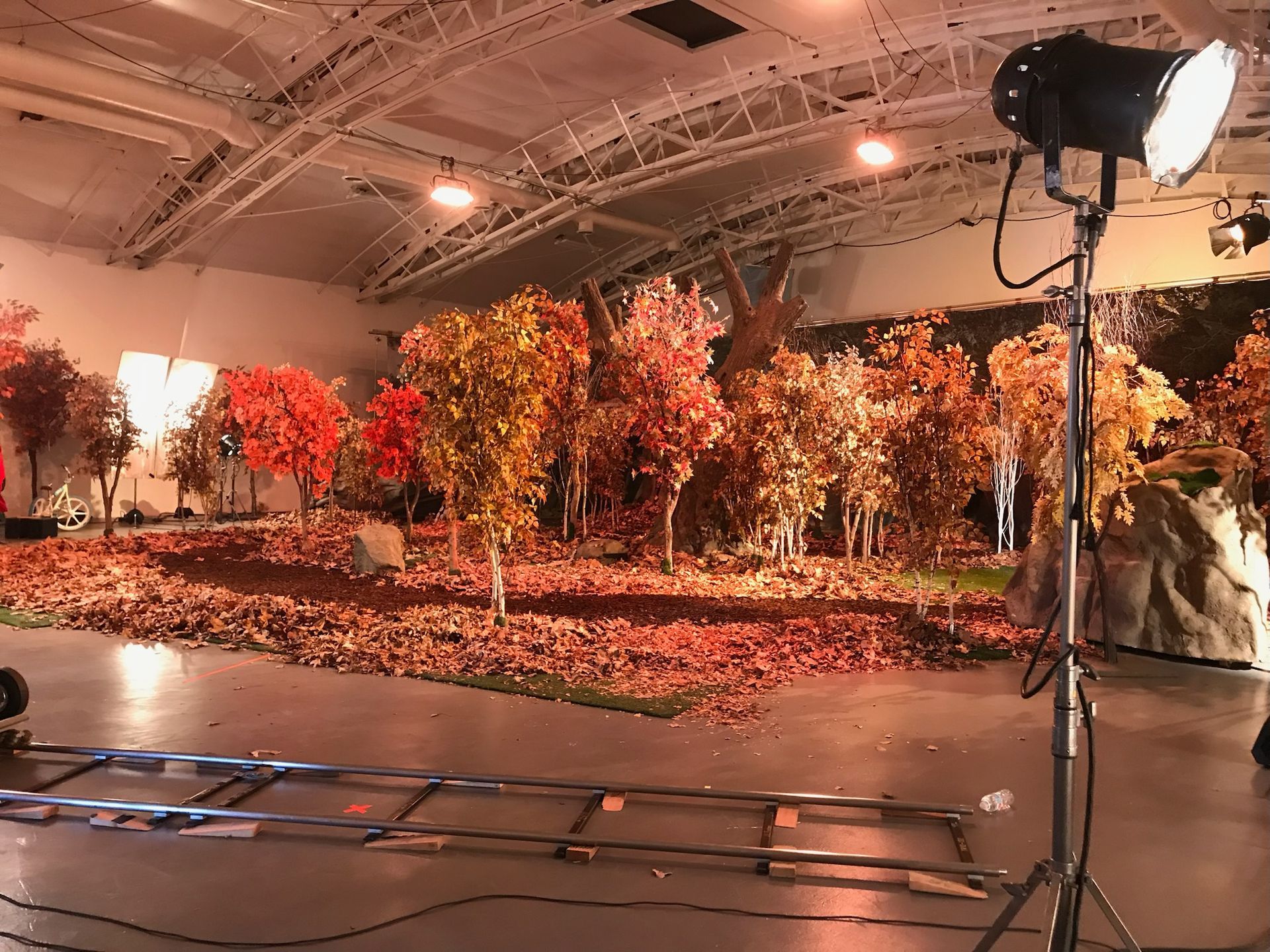 A film set featuring an artificial autumn forest with orange and red trees on a carpet of leaves, lit by a large lamp.