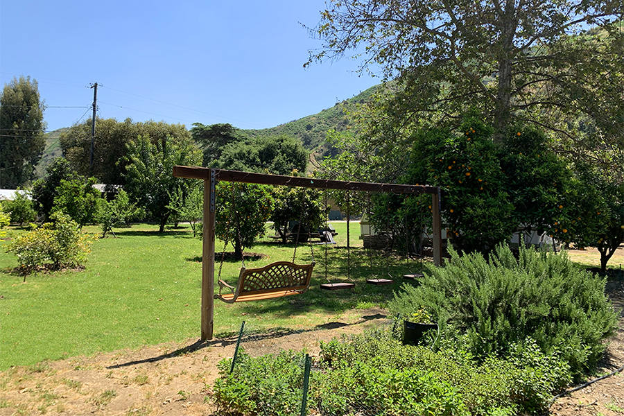 Sunny garden with a wooden pergola swing, green lawn, trees, and hillside in the background