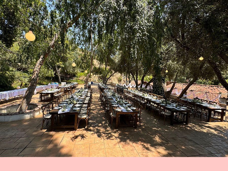 Outdoor dining area with long wooden tables under leafy trees in bright sunlight