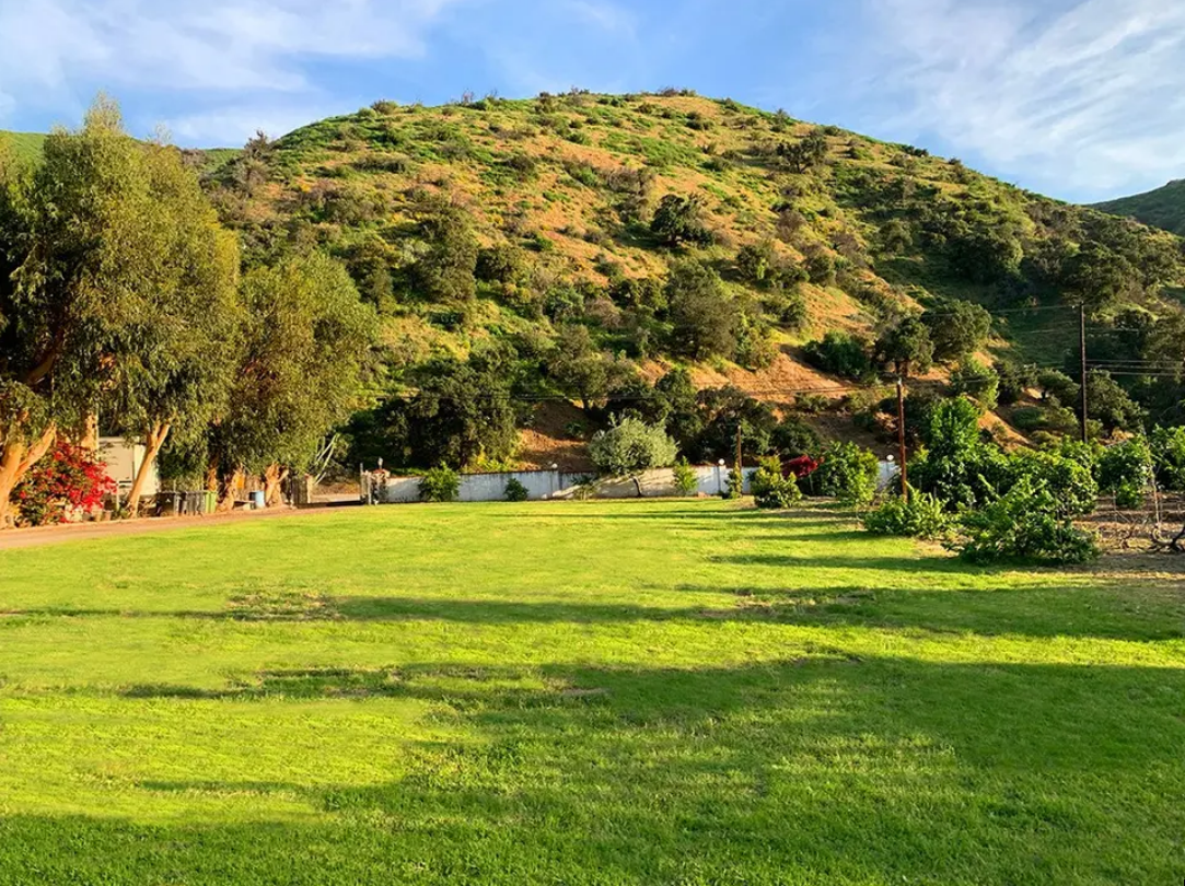 Sunlit green park with a tree-lined hillside and blue sky in the background