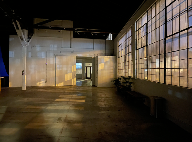 A large empty room with lots of windows and a plant.