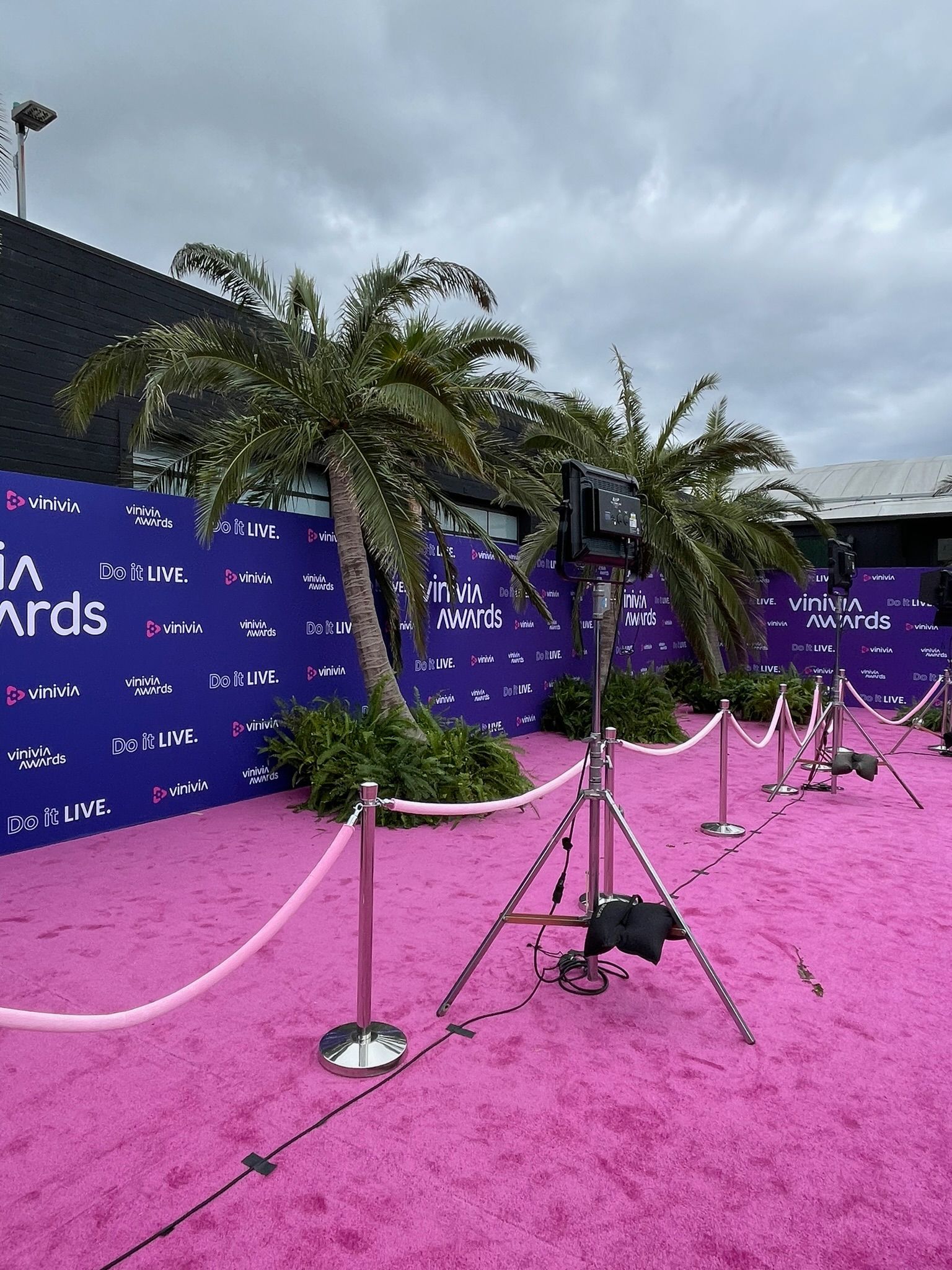 A bright pink carpet setup with stanchions, purple branded event backdrops, and palm trees under a cloudy sky.