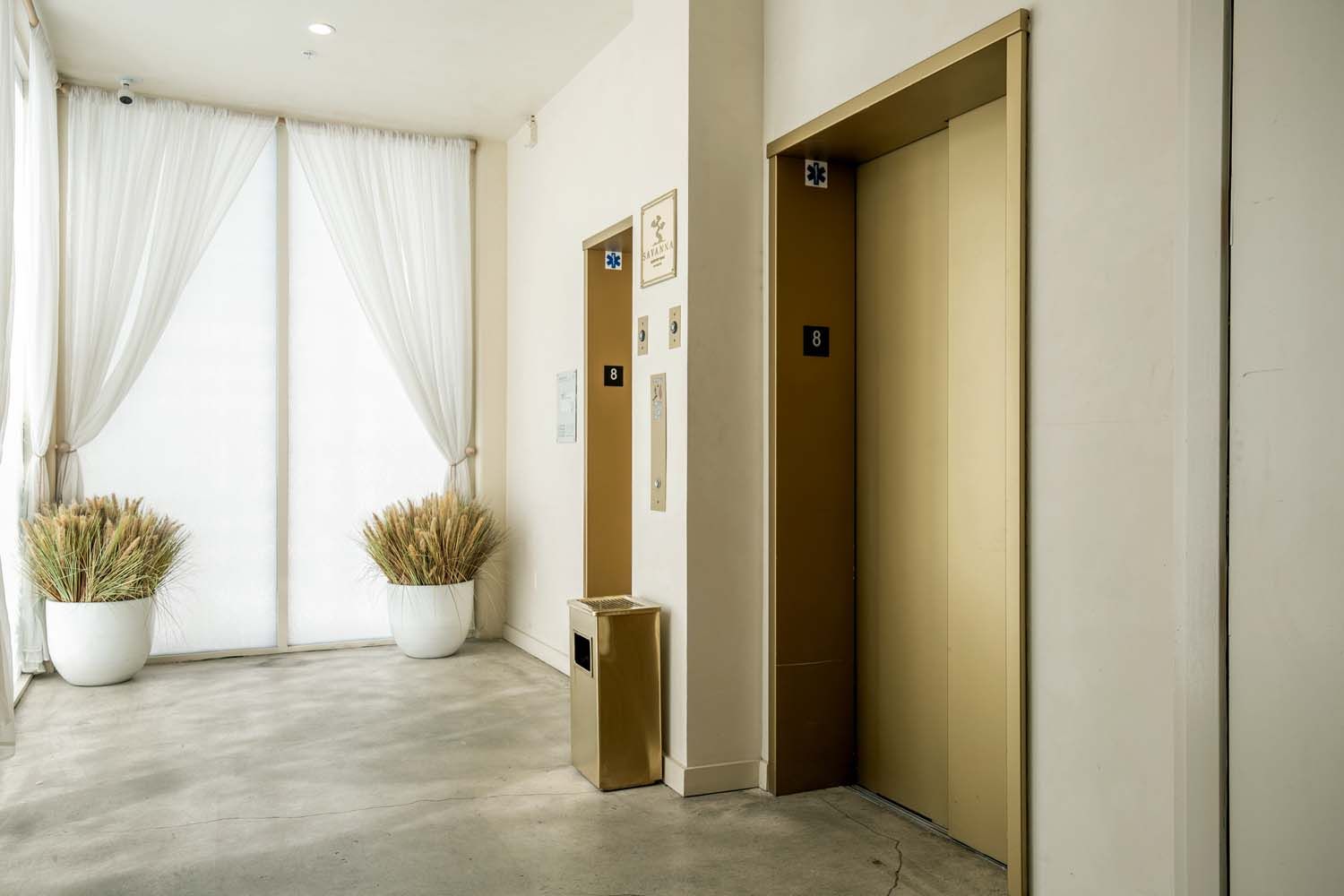 There are two elevators in the hallway of a building.
