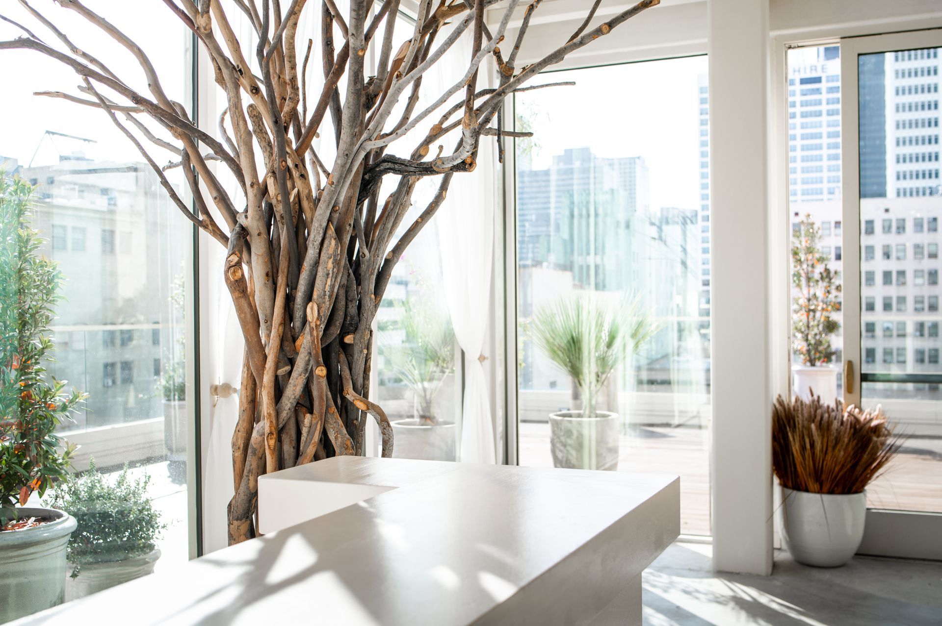 A room with a large tree in the middle of it