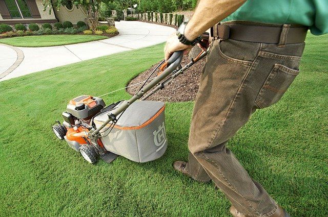 lawn mowing and garden edging service surrey BC