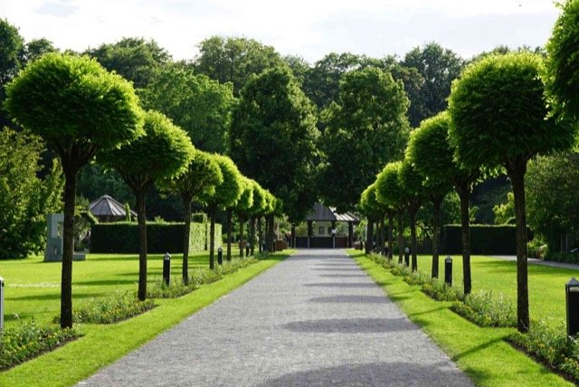commercial landscaping surrey BC