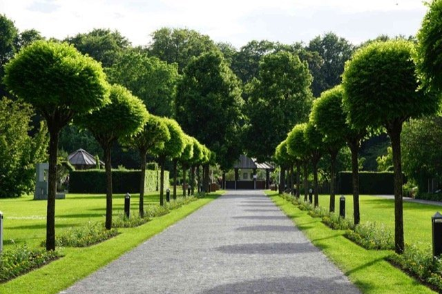 commercial landscaping coquitlam BC