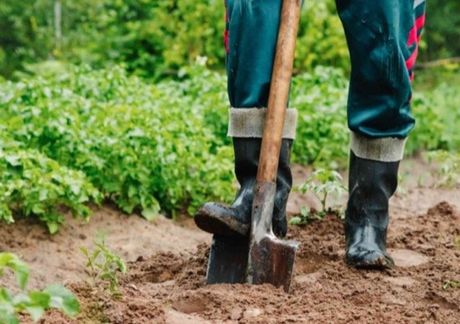 home landscaping company surrey BC