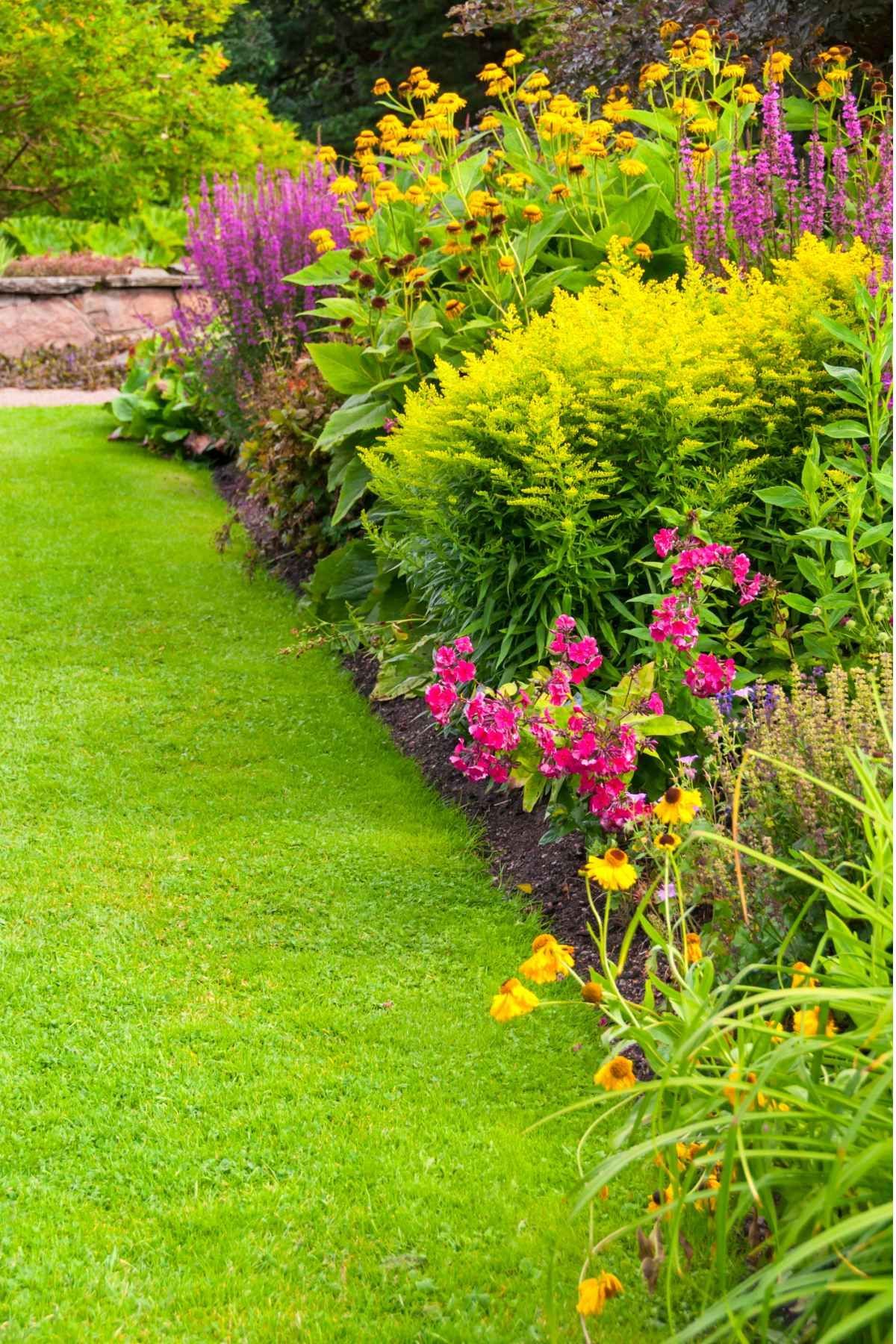 landscaped garden