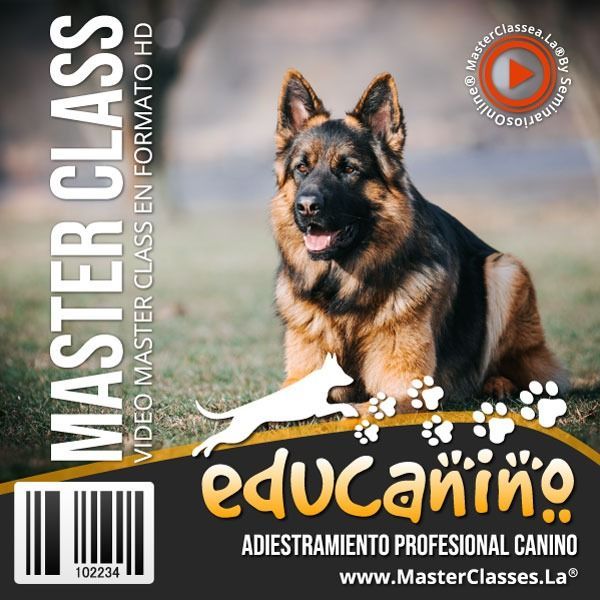 Pastor alemán en un anuncio de adiestramiento canino con el texto “Master Class” y “Educainiño” sobre un fondo gris.